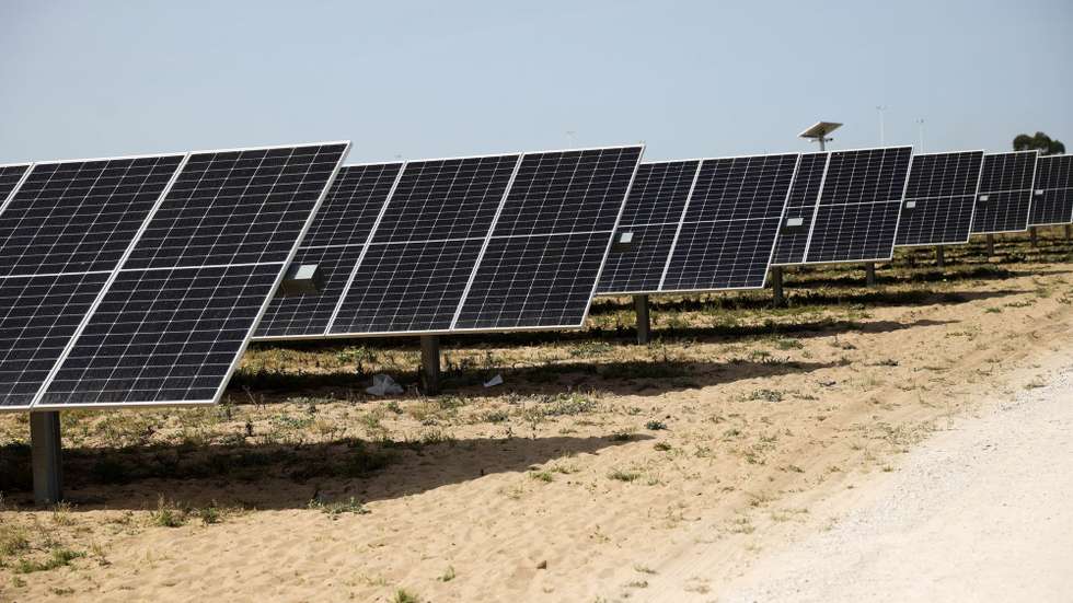Central Solar Fotovoltaica de Pessegueiro, no dia da inauguração pelo ministro do Ambiente e Ação Climática, Duarte Cordeiro (ausente da fotografia), em Setúbal, 29 de março de 2023. ANTÓNIO COTRIM/LUSA