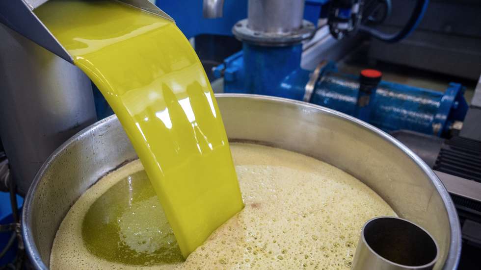 Produção de azeite na Cooperativa de Valpaços, Vila Real, 9 de novembro de 2023. Dois anos consecutivos de quebra de produção de azeite preocupam os produtores de Valpaços, concelho onde a agricultura é a base da economia e se cruzam técnicas tradicionais com as mais modernas de apanha de azeitona. (ACOMPANHA TEXTO DO DIA 12 DE NOVEMBRO DE 2023). JOSÉ COELHO/LUSA