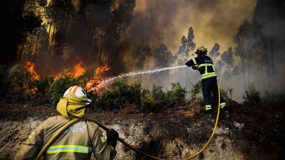 epaselect epa10101810 Firefighters battle a forest fire in Aldeia Nova, Ourem, Portugal, 01 August 2022. 241 operational, 72 vehicles and 9 airplanes are fighting the forest fire.  EPA/PAULO CUNHA
