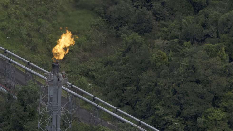 epa11302973 An aerial view of the Urucu oil district, in Coari, Amazonas, Brazil, 23 April 2024 (issued 26 April 2024). Urucu is an oil field located in one of the most well-preserved regions of the Amazon and operated by Petrobras. It supplies cooking gas to half of the Brazilian territory. Petrobras claims that it is feasible to extract hydrocarbons from the world's largest rainforest in a sustainable manner.  EPA/Isaac Fontana