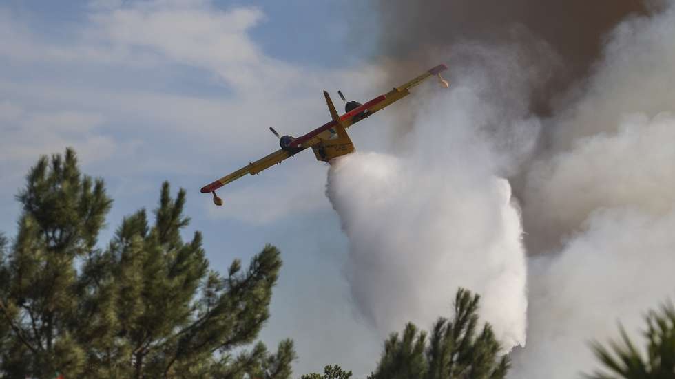 Bombeiros combatem o incêndio na zona de Belverde, freguesia da Amora, concelho do Seixal, 11 de setembro de 2024. Segundo o ‘site’ da Autoridade Nacional de Emergência e Proteção Civil, pelas 16:10 encontravam-se no local 355 operacionais, apoiados por 102 meios terrestres e 11 meios aéreos. FILIPE AMORIM/ LUSA