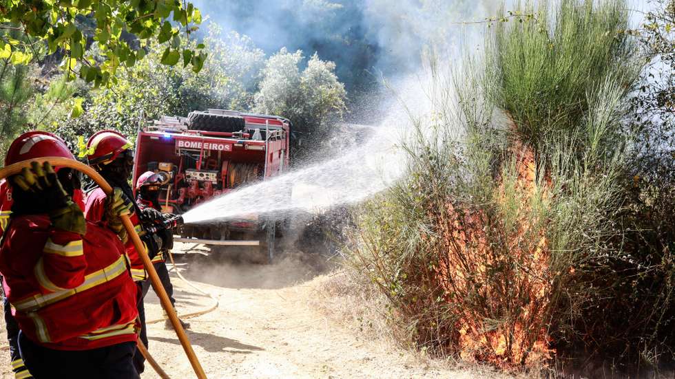 Os bombeiros mostraram confiança e tranquilidade, apesar das buscas