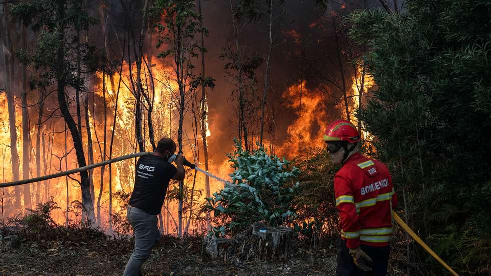 A fireman and a popular fight a forest fire in Macinhata do Vouga, Albergaria-a-Velha, Portugal, 16 September 2024. Around 70 people had to be evacuated and at least five properties, including homes, were hit by flames in different rural fires that broke out between Sunday and today in the North and Centre regions, according to Civil Protection. 193 operational, 56 vehicles and and 1 airplane are fighting the forest fire. PAULO NOVAIS/LUSA