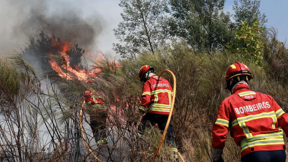 Bombeiros combatem um incêndio na localidade de Rondilhe em Mangualde, 17 de setembro de 2024. Vários incêndios continuavam ativos em Portugal continental, tendo causado quatro mortos e pelo menos 40 feridos. MIGUEL PEREIRA DA SILVA/ LUSA
