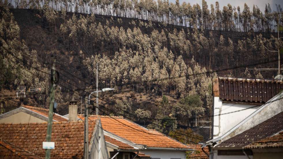 Área ardida na zona de Albergaria, Aveiro, 20 de setembro de 2024. Sete pessoas morreram e 177 ficaram feridas devido aos incêndios que atingiram desde domingo sobretudo as regiões Norte e Centro do país e destruíram dezenas de casas. A área ardida em Portugal continental desde domingo ultrapassa os 124 mil hectares, segundo o sistema europeu Copernicus, que mostra que nas regiões Norte e Centro já arderam mais de 116 mil hectares, 93% da área ardida em todo o território nacional. JOSÉ COELHO/LUSA