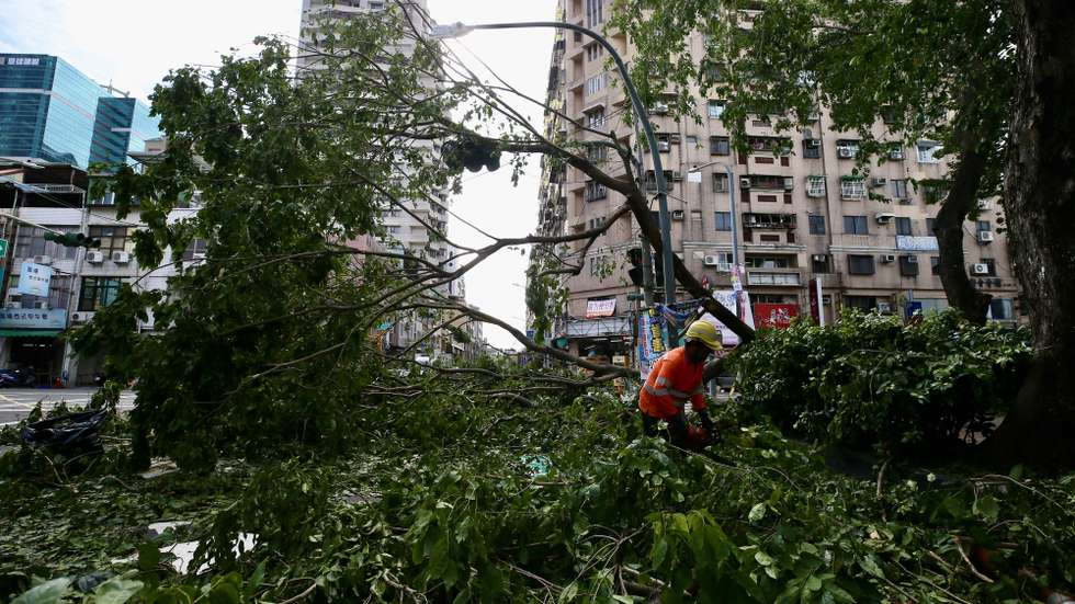 epa11641216 A worker removes uprooted trees following Typhoon Krathon's fall in Kaohsiung City, Taiwan, 04 October 2024. Typhoon Krathon was downgraded to a tropical storm due to weakening. The Central Emergency Operation Center reported two deaths, 219 injuries, and one missing due to the storm across Taiwan.  EPA/RITCHIE B. TONGO