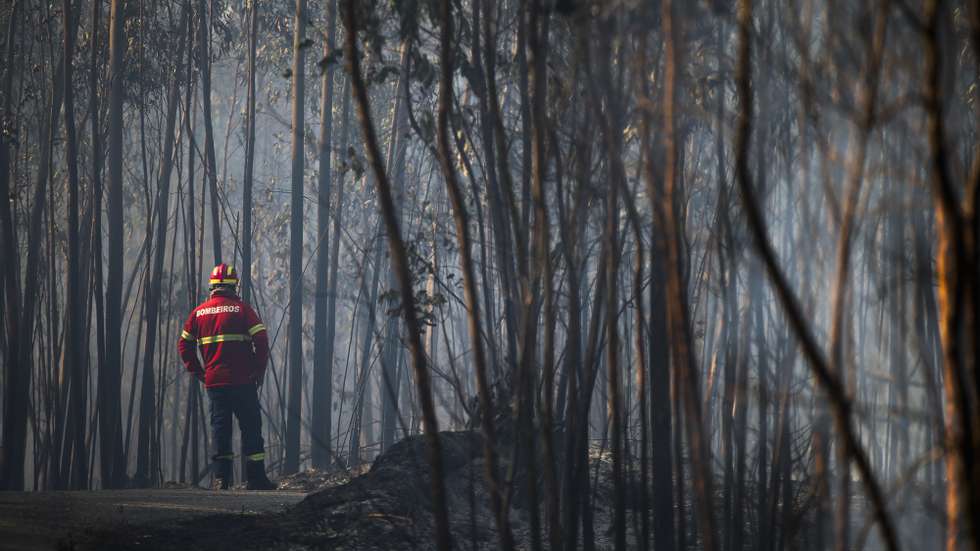 Brussels wants to change rules after Portugal requests 500 million euros for fire damage