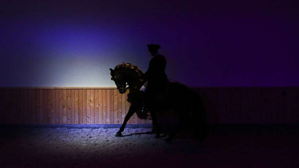 A Escola Portuguesa de Arte Equestre tem desde o dia 20 de julho espetáculos e treinos abertos ao público no novo Picadeiro Henrique Calado, em Lisboa, 10 de agosto de 2015. (ACOMPANHA TEXTO) MÁRIO CRUZ/LUSA