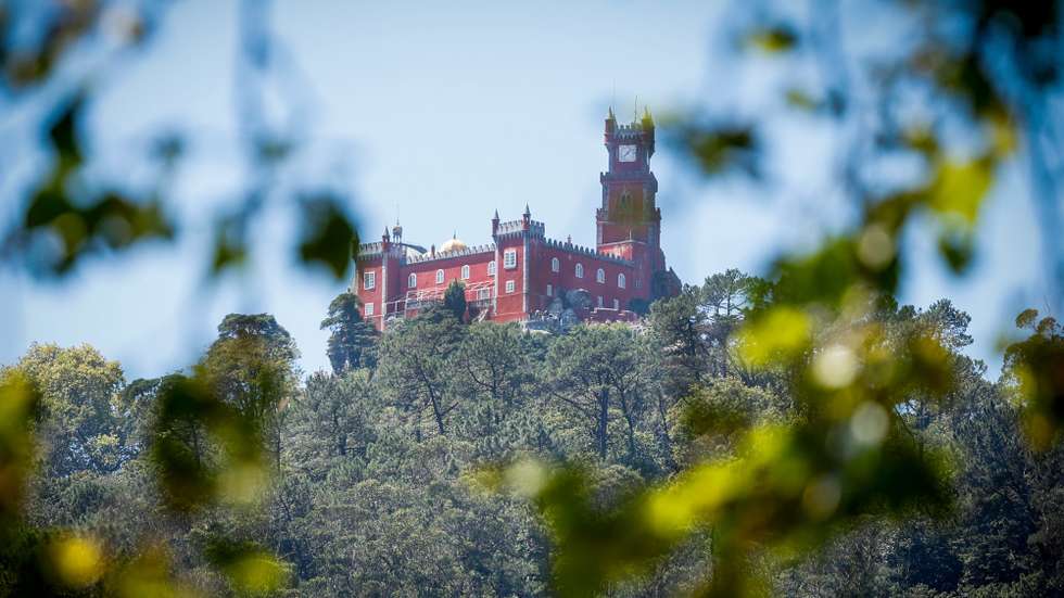 Palácio Nacional da Pena em Sintra, 16 de agosto de 2024. A Associação QSintra - Em Defesa de um Sítio Único - lançou uma iniciativa com faixas nas janelas e varandas e cartazes nas montras de lojas, restaurantes e cafés, exigindo à Câmara Municipal de Sintra medidas contra o "turismo de massas e caos no trânsito", com o objetivo de que a cidade não se transforme "num mero parque de diversões congestionado", pondo em causa o seu caráter de "sítio único". (ACOMPANHA TEXTO DA LUSA DO DIA 20 DE AGOSTO DE 2024). ANTÓNIO PEDRO SANTOS/LUSA