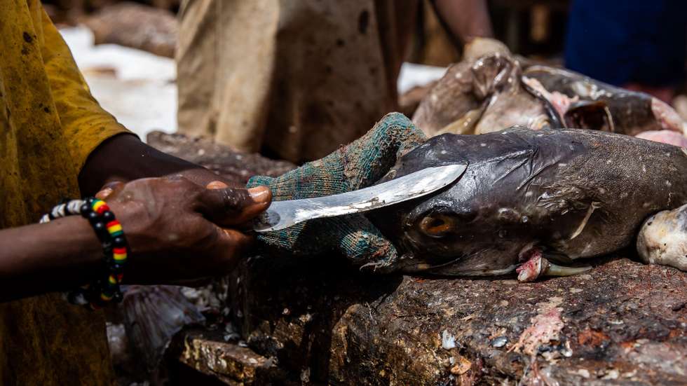 Comerciantes amanham o peixe no mercado de peixe no Porto de Bissau, na Guiné-Bissau, 17 de maio de 2021. JOSÉ SENA GOULÃO/LUSA