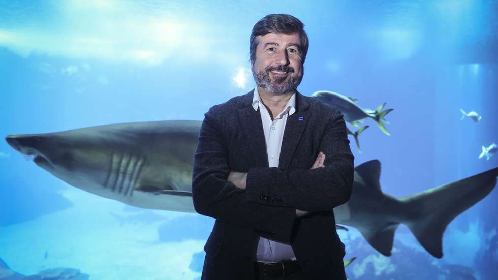 O presidente executivo da Fundação Oceano Azul, Tiago Pitta e Cunha, posa para a fotografia durante uma entrevista à agência Lusa de antecipação da cimeira dos Oceanos em Nice, que decorrerá de 9 a 13 de junho, no Oceanário, em Lisboa, 13 de março de 2025. A Fundação Oceano Azul, que coorganiza com França o encontro SOS Oceano em Paris, defende que até ao final da década os oceanos tenham um nível de proteção e governação semelhante ao que tem hoje o clima. (ACOMPANHA TEXTO DA LUSA DO DIA 29 DE MARÇO DE 2025). ANTÓNIO PEDRO SANTOS/LUSA