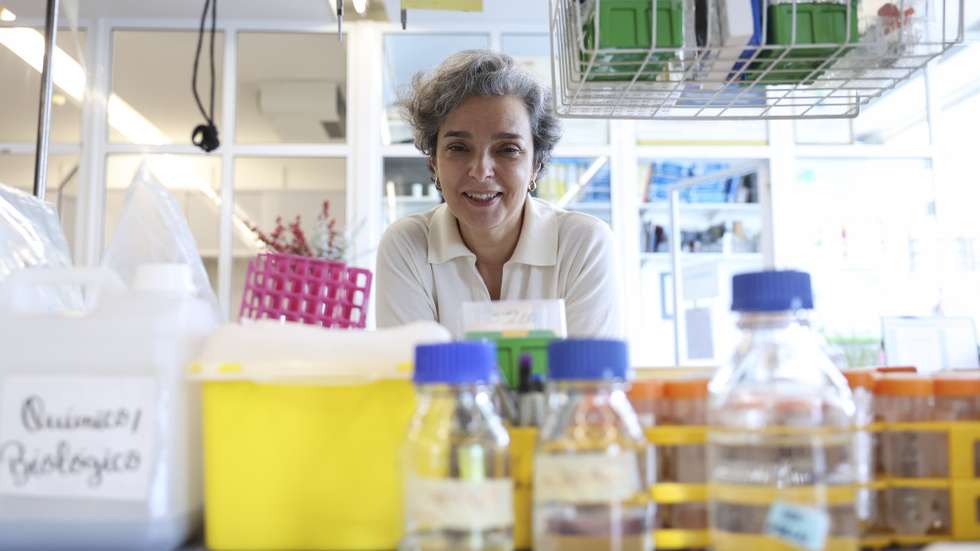 Professora Maria Mota, posa para a fotografia no laboratório da Fundação GIMM (Faculdade de Medicina de Lisboa) em Lisboa, 09 de abril de 2025. Maria Manuel Mota é atualmente CEO do Gulbenkian Institute for Molecular Medicine (GIMM), uma nova fundação resultante da fusão entre o Instituto de Medicina Molecular (iMM) e o Instituto Gulbenkian de Ciência (IGC). (ACOMPANHA TEXTO DO DIA 20 DE ABRIL DE 2025).  ANDRÉ KOSTERS/LUSA