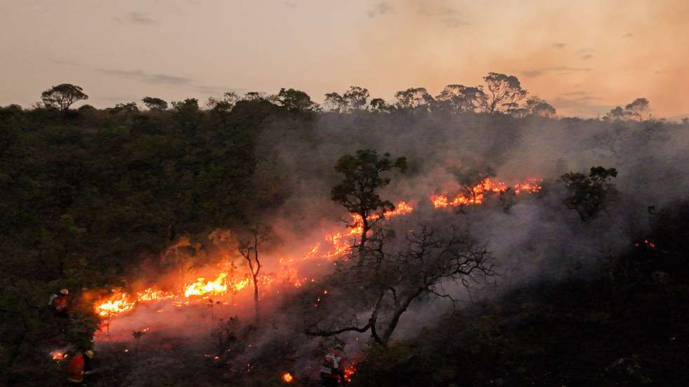 epa11623173 A forest fire breaks out in the Contagem Ecological Reserve in Brasilia, Brazil, 24 September 2024.  EPA/ANDRE BORGES