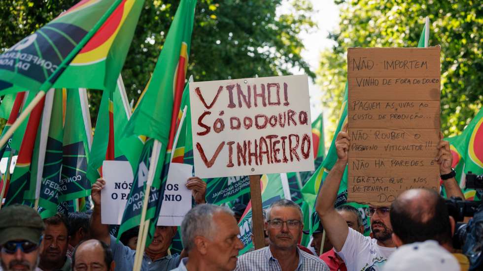 Agricultores participam na manifestação dos viticultores do Douro, promovida pela Confederação Nacional da Agricultura e pela Associação dos Viticultores e da Agricultura Familiar Douriense, para alertar para a crise que afeta a região, exigirem soluções e a venda de uvas a preços justos, no Peso da Régua, 02 de julho de 2025. PEDRO SARMENTO COSTA/LUSA