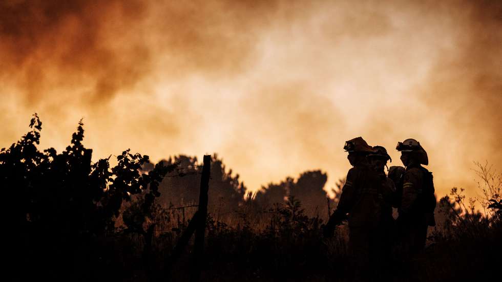 Bombeiros durante o combate um incêndio em Sabrosa, Vila Real, 16 de julho de 2025. O vento forte e irregular que provoca várias projeções está a dificultar o combate ao incêndio que lavra em Souto Maior, Sabrosa, e que pelas 22:00 mobilizava 368 operacionais e 115 meios terrestres, segundo a página da ANEPC - Autoridade Nacional de Emergência e Proteção Civil. PEDRO SARMENTO COSTA