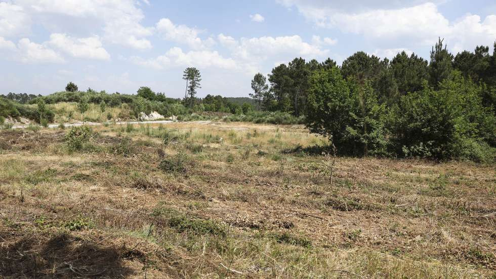 Terreno