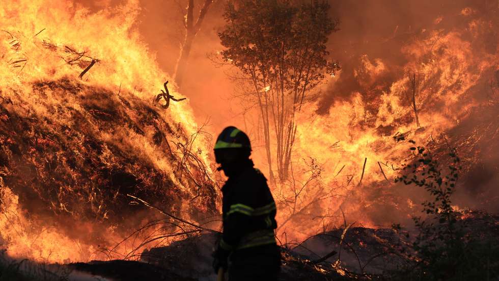 Um bombeiro combate o incêndio que lavra junto ao lugar de Monte Moção, na freguesia Santa Eulália, em Arouca, 29 de Julho de 2025. O incêndio que lavra há mais de 24 horas em Arouca, no distrito de Aveiro, tem três frentes ativas e já chegou à freguesia de Santa Eulália, informou hoje a autarquia e às 18:30, segundo a página na Internet da Autoridade Nacional de Emergência e Proteção Civil, estavam mobilizados no combate às chamas 721 operacionais, 245 viaturas e sete meios aéreos. ESTELA SILVA/LUSA
