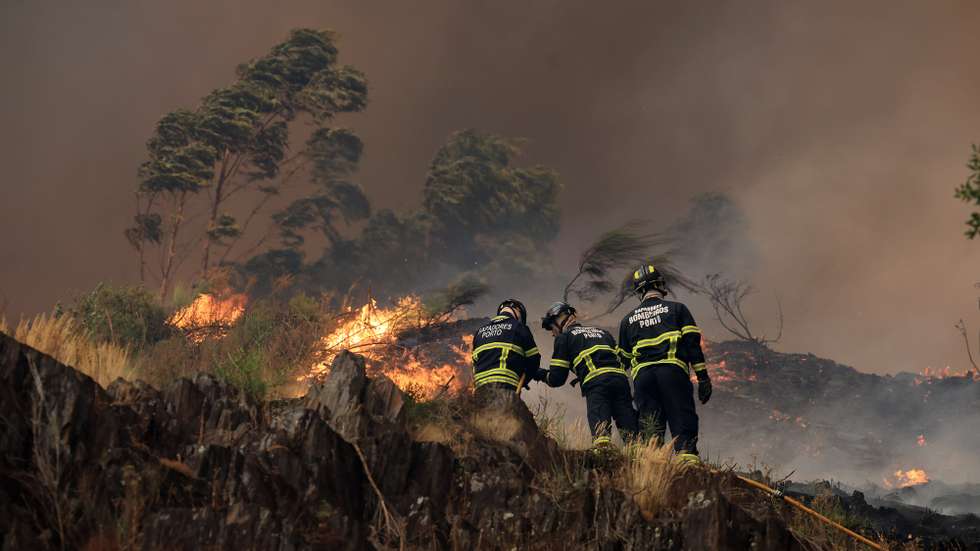 Bombeiros combatem o incêndio que lavra junto ao lugar de Monte Moção, na freguesia Santa Eulália, em Arouca, 29 de Julho de 2025. O incêndio que lavra há mais de 24 horas em Arouca, no distrito de Aveiro, tem três frentes ativas e já chegou à freguesia de Santa Eulália, informou hoje a autarquia e às 18:30, segundo a página na Internet da Autoridade Nacional de Emergência e Proteção Civil, estavam mobilizados no combate às chamas 721 operacionais, 245 viaturas e sete meios aéreos. ESTELA SILVA/LUSA