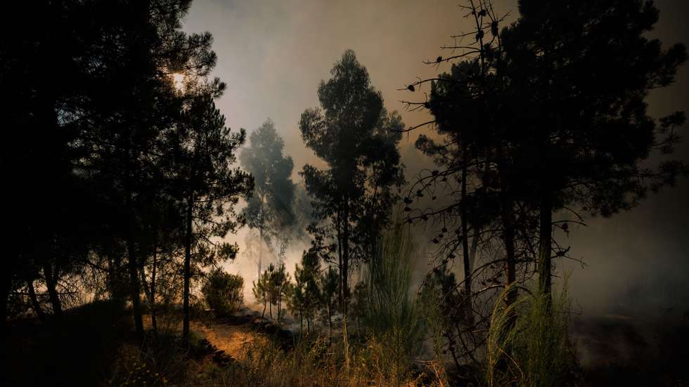 Incêndio esta manhã em São Martinho da Anta, Sabrosa, 03 de agosto de 2025. PEDRO SARMENTO COSTA/LUSA