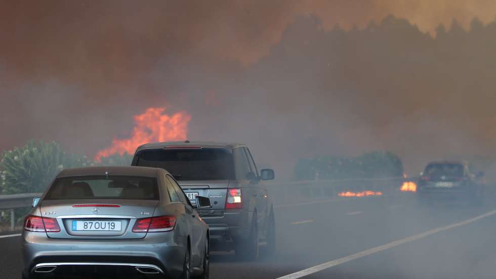 Incêndio na A1 na localidade de Cardosos provocou o corte desta auto-estrada esta tarde no concelho de Leiria, 7 de agosto de 2023. PAULO CUNHA/LUSA