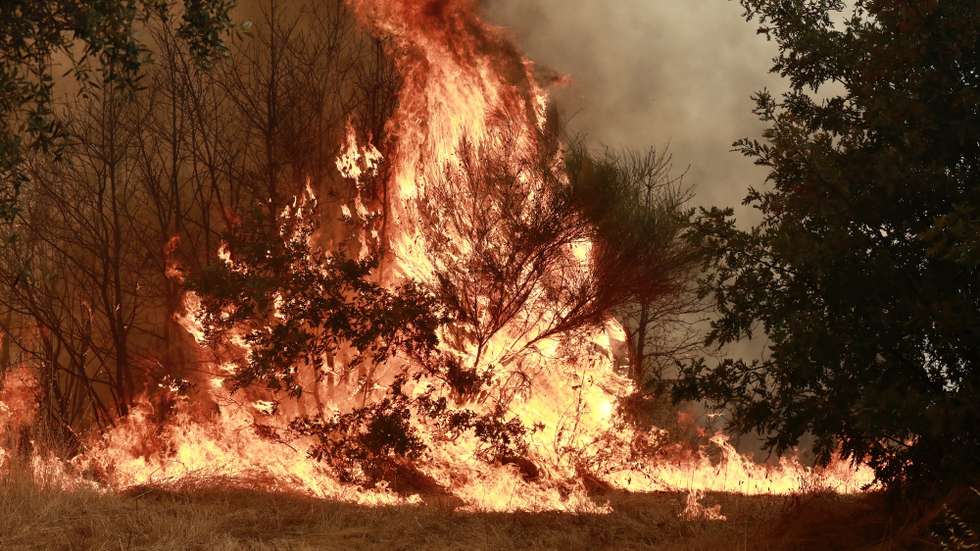 Incêndio de grandes proporções que lavra há três dias no concelho de Trancoso, em Aldeia Velha, 11 de agosto de 2025. O incêndio rural que lavra desde a tarde de sábado, no concelho de Trancoso, já terá consumido 8.000 hectares, sobretudo soutos, olivais e vinhas, de acordo com o presidente da Câmara, Amílcar Salvador. MIGUEL PEREIRA DA SILVA/LUSA