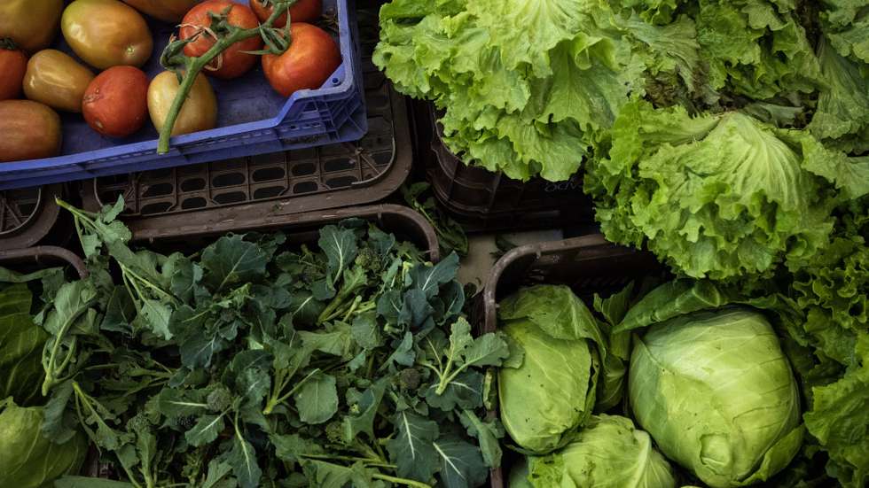 Legumes numa banca no mercado municipal da Póvoa de Varzim, 20 de janeiro de 2024. JOSÉ COELHO/LUSA