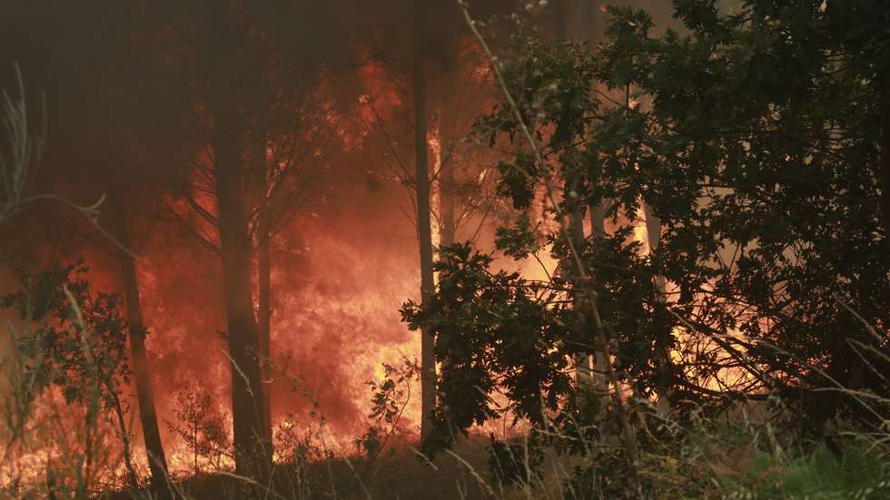 Incêndio de grandes proporções que começou há quatro dias no concelho de Trancoso e que passou para o concelho de Fornos de Algodres, distrito da Guarda, em Casal do Monte, freguesia de Queiriz, 13 de agosto de 2025. O incêndio que lavra desde sábado em Trancoso, distrito da Guarda, sofreu uma reativação durante a madrugada por causa da trovoada e obrigou a um reforço de meios no terreno, segundo a proteção civil. MIGUEL PEREIRA DA SILVA/LUSA