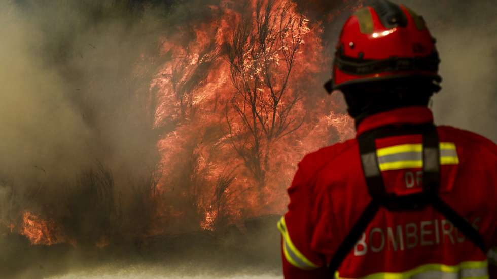 Um bombeiro combate as chamas durante o incêndio de grandes proporções que lavra há três dias no concelho de Trancoso, em Aldeia Velha, 11 de agosto de 2025. O incêndio rural que lavra desde a tarde de sábado, no concelho de Trancoso, já terá consumido 8.000 hectares, sobretudo soutos, olivais e vinhas, de acordo com o presidente da Câmara, Amílcar Salvador. MIGUEL PEREIRA DA SILVA/LUSA