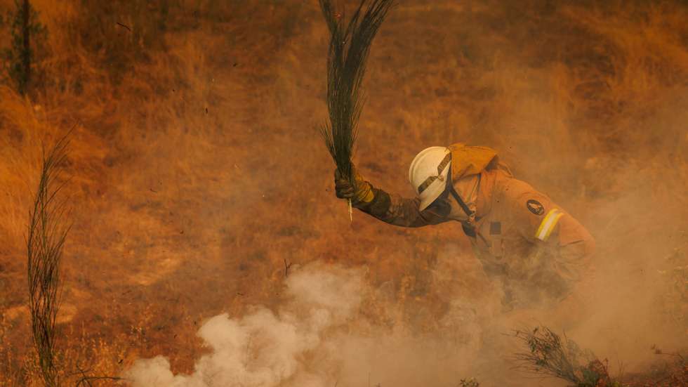Firefighters try to fight the forest fire in Vila da Ponte, Sernancelhe, Viseu, Portugal, 15 August 2025. The fire that started early Wednesday morning in Satao, in the district of Viseu, spread to the districts of Sernancelhe (Viseu) and Aguiar da Beira (Guarda). PEDRO SARMENTO COSTA/LUSA