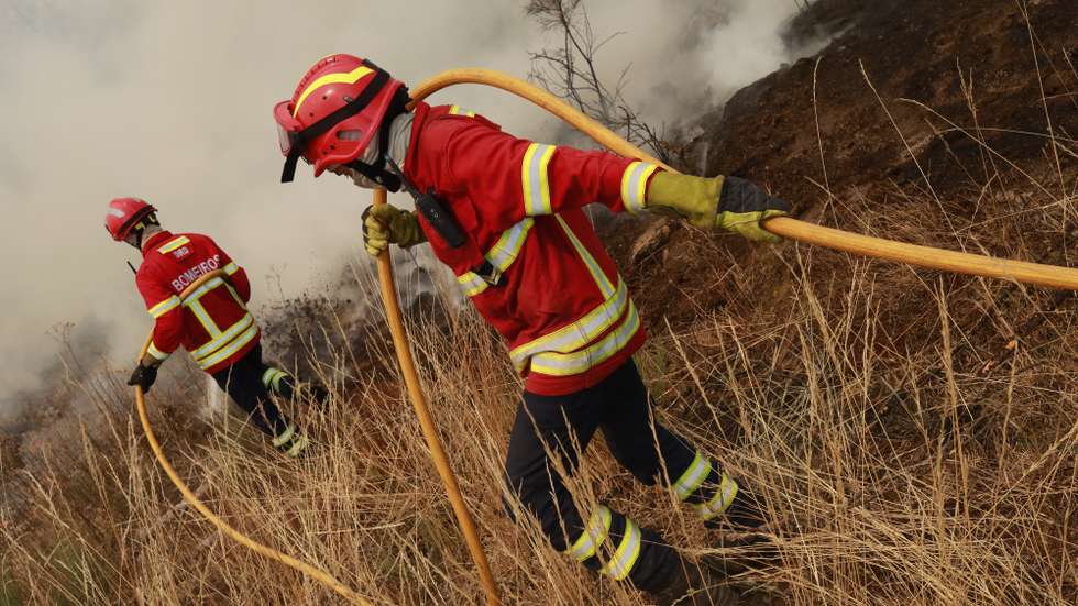 Elementos dos bombeiros combatem as chamas durante o incêndio de grandes proporções que começou há quatro dias no concelho de Trancoso e que passou para o concelho de Fornos de Algodres, distrito da Guarda, em Queiriz, 13 de agosto de 2025. O incêndio que lavra desde sábado em Trancoso, distrito da Guarda, sofreu uma reativação durante a madrugada por causa da trovoada e obrigou a um reforço de meios no terreno, segundo a proteção civil. MIGUEL PEREIRA DA SILVA/LUSA