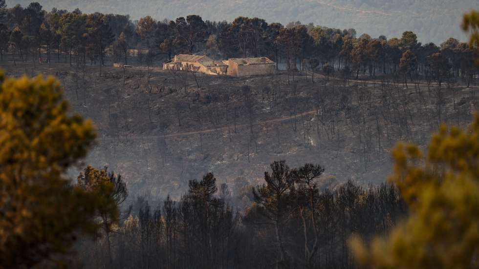 epa12299745 A property surrounded by burned vegetation in the municipality of Teresa de Cofrentes, in the province of Valencia, Spain, 14 August 2025. The fire was caused by lightning on August 13.  EPA/MANUEL BRUQUE