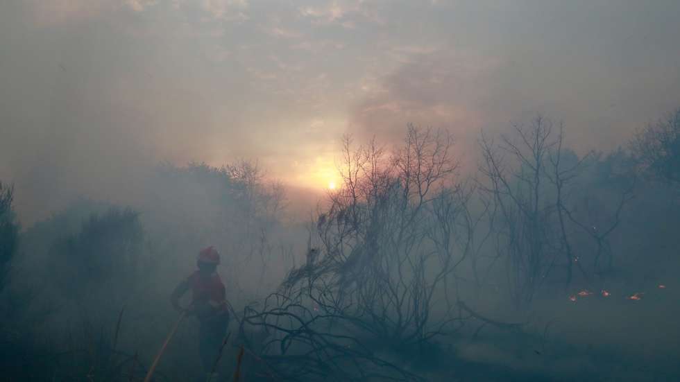 A firefighter try to fight the forest fire in Pinhel, Guarda, Portugal, 16 August 2025. Forest fires have burned in Portugal 139,000 hectares to date, half of which in just two days, representing 17 times more than the area burned in the same period last year. MIGUEL PEREIRA DA SILVA/LUSA