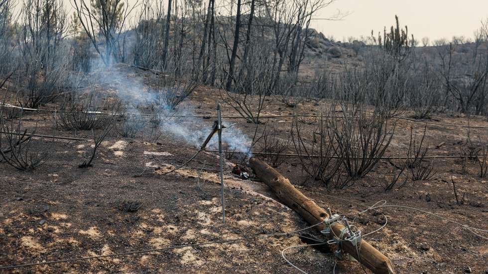Destruction caused by a forest fire in Casal da Serra, Castelo Branco, Portugal, 20 August 2025. Portugal activated the European Civil Protection Mechanism, under which two Fire Boss aircraft arrived to reinforce the fight against the fires. According to provisional official data, by 19 August more than 201,000 hectares had burned in the country, more than the area burned in the whole of 2024. PAULO NOVAIS/LUSA