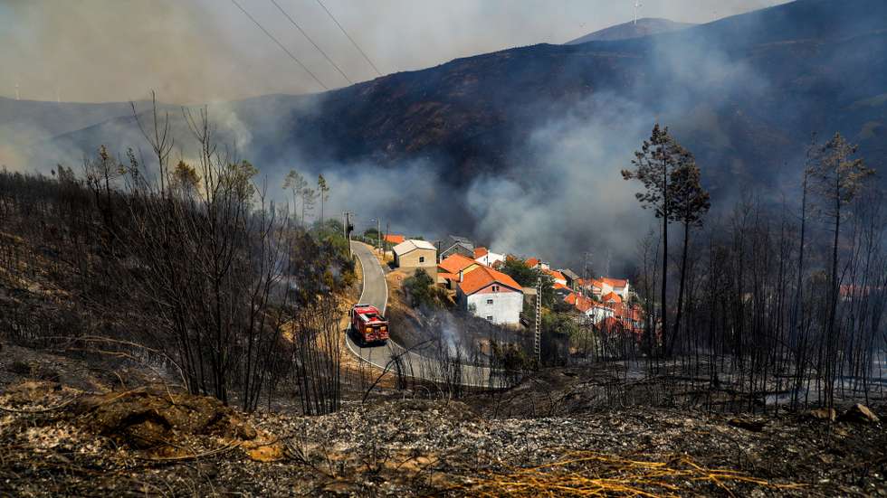 Área ardida durante o incêndio na aldeia de Mourisia, Arganil, 14 de agosto de 2025. De acordo com os dados disponíveis no ‘site’ da Autoridade Nacional de Emergência e Proteção Civil (ANEPC), quase 900 operacionais combatiam o fogo que deflagrou na quarta-feira na freguesia de Piódão, no concelho de Arganil, distrito de Coimbra, e se estendeu depois aos municípios de Oliveira do Hospital e Pampilhosa da Serra (Coimbra), e de Seia, já no distrito da Guarda. PAULO CUNHA/LUSA
