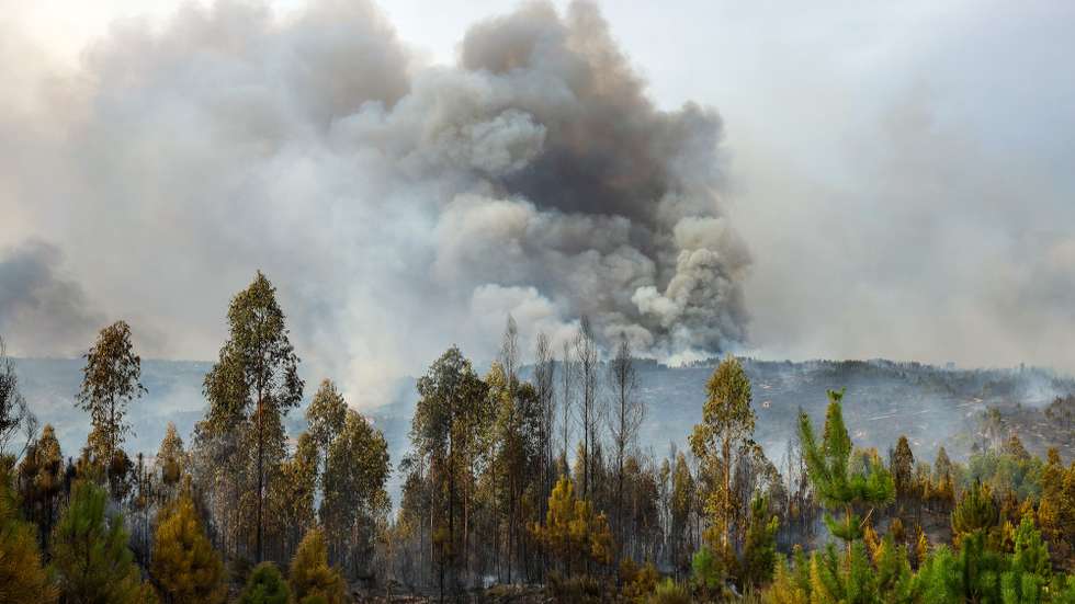 Coluna de fumo durante o incêndio que consome floresta em Ervedal da Beira, Oliveira do Hospital, 19 de setembro de 2025. O fogo que lavra desde a tarde de hoje em Oliveira do Hospital, no distrito de Coimbra, obrigou à retirada de mais de duas dezenas de pessoas das suas casas. PAULO NOVAIS/LUSA