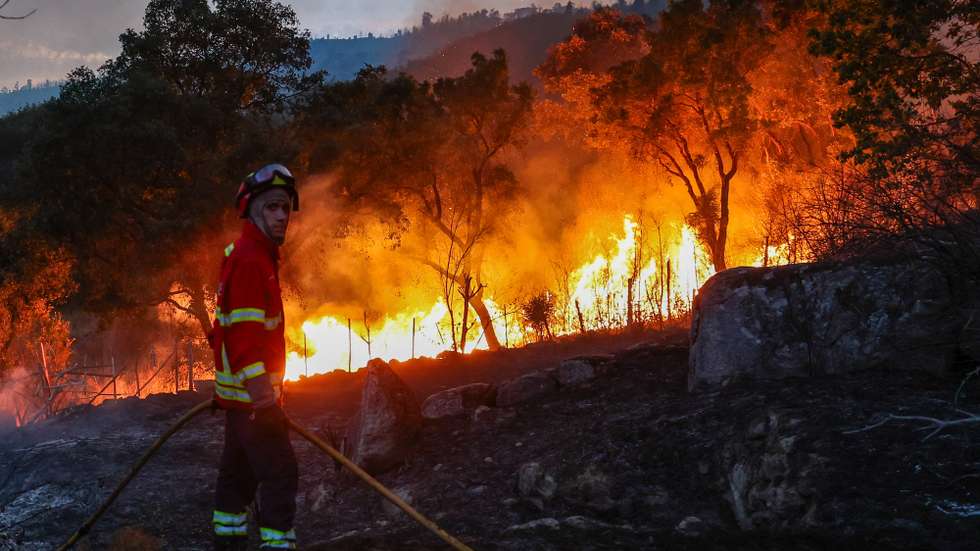Um bombeiro combate incêndio florestal