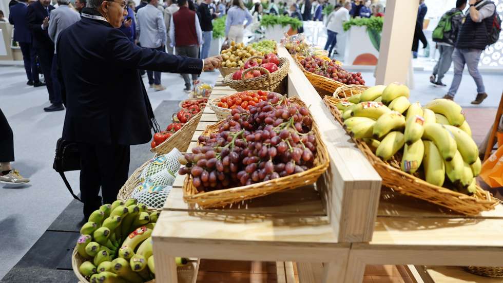 epa11648902 Several fruits are displayed at a stand at Fruit Attraction 2024 fair in Madrid, Spain, 08 October 2024. The fair runs from 08 October until 10 October 2024.  EPA/SERGIO PEREZ