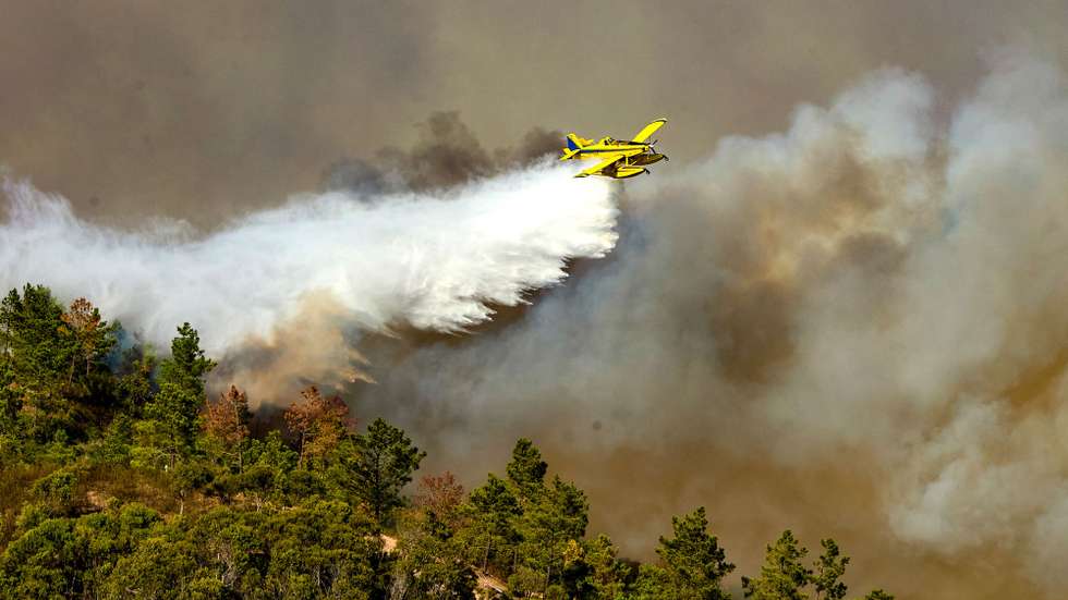 Um avião combate um incêndio que deflagrou no domingo em Aljezur, no Algarve, mantém uma frente ativa com alguns quilómetros, com pontos que podem evoluir para os concelhos de Monchique e Vila do Bispo, admitiu hoje a Proteção Civil,  Mata Nacional do Barão de São João, Lagos, 23 de setembro de 2025. De acordo com a Proteção Civil, não existem estradas nacionais interditadas ao trânsito, existindo apenas condicionantes em estradas municipais e em caminhos na zona do fogo, “para uma maior fluidez dos meios de socorro e de maior segurança para os moradores”. LUÍS BRANCA/LUSA