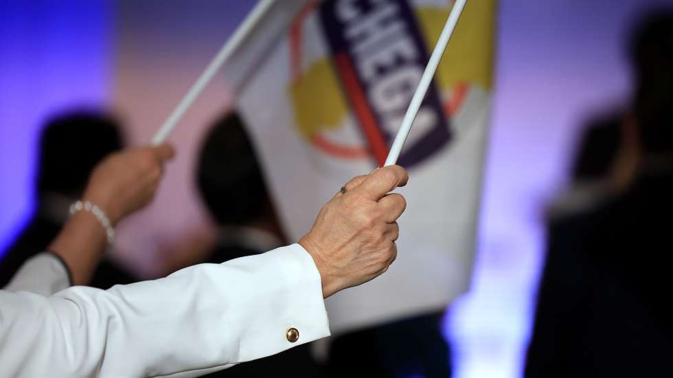 Chega: bandeira