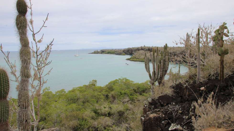 epa09583385 A general view of one of the bays on the island of Santa Cruz, in the Galapagos archipelago, Ecuador, 13 November 2021 (issued 15 November 2021). Ecuador seeks a "green" way out of its national debt through an exchange for conservation commitments, which the Government hopes to promote with a new nature reserve in a crucial corridor of the Galapagos. The plan, announced by President Guillermo Lasso at COP-26, to expand the Galapagos marine reserve from 133,000 square kilometers to 193,000, currently lacks structure, but the Andean country aspires to reach 1,100 million dollars.  EPA/Daniela Brik