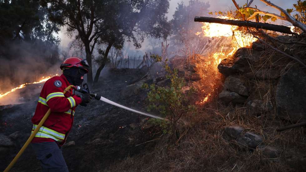 Um bombeiro comabte o incêndio florestal que começou em Ervedal da Beira, Oliveira do Hospital, mas passou para Caldas da Felgueira, no concelho de Nelas, em Viseu, 19 de setembro de 2025. O fogo que lavra desde a tarde de hoje em Oliveira do Hospital, no distrito de Coimbra, obrigou à retirada de mais de duas dezenas de pessoas das suas casas. PAULO NOVAIS/LUSA