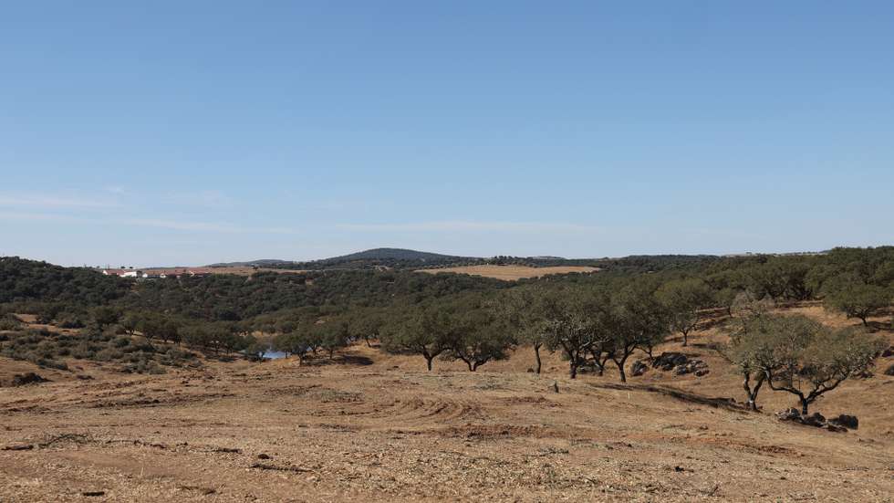 Local onde será construído o paredão da barragem do Pisão, durante uma visita ao início dos trabalhos da empreitada das Infraestruturas Primárias da Barragem do Pisão, Crato, 22 de setembro de 2025. A barragem é um projeto estruturante para o desenvolvimento do Alto Alentejo, que irá assegurar o abastecimento de água potável, potenciar a agricultura, reforçar a coesão territorial e contribuir para a transição energética da região. NUNO VEIGA/LUSA