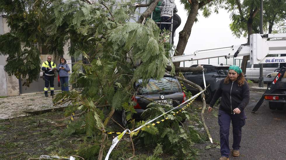Trabalhadores da Câmara Municipal de Lisboa (CML), retiram uma árvore caída em cima de um automóvel, devido à passagem da depressão Kristin, em Lisboa, 28 de janeiro de 2026. Portugal continental está a ser afetado pelos efeitos da passagem da depressão Kristin, com chuva, vento, neve e agitação marítima, tendo sido emitidos vários avisos pelo Instituto Português do Mar e da Atmosfera (IPMA). ANTÓNIO PEDRO SANTOS/LUSA