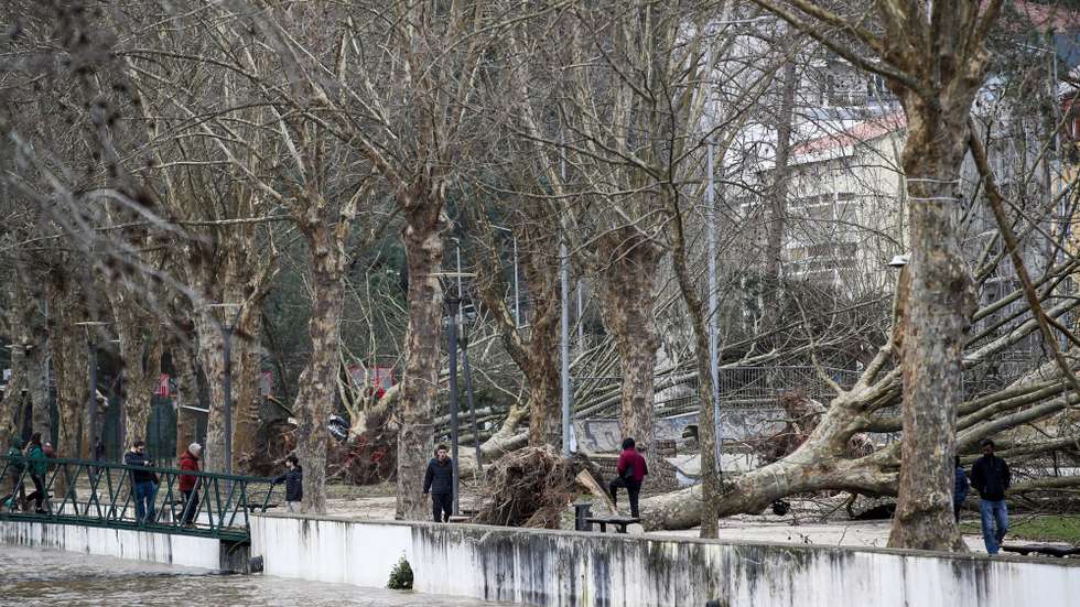 Queda de árvores no parque do Avião depois da passagem da depressão Kristin, em Leiria, 28 de janeiro de 2026. Portugal continental está a ser afetado pelos efeitos da passagem da depressão Kristin, com chuva, vento, neve e agitação marítima, tendo sido emitidos vários avisos pelo Instituto Português do Mar e da Atmosfera (IPMA). PAULO CUNHA/LUSA