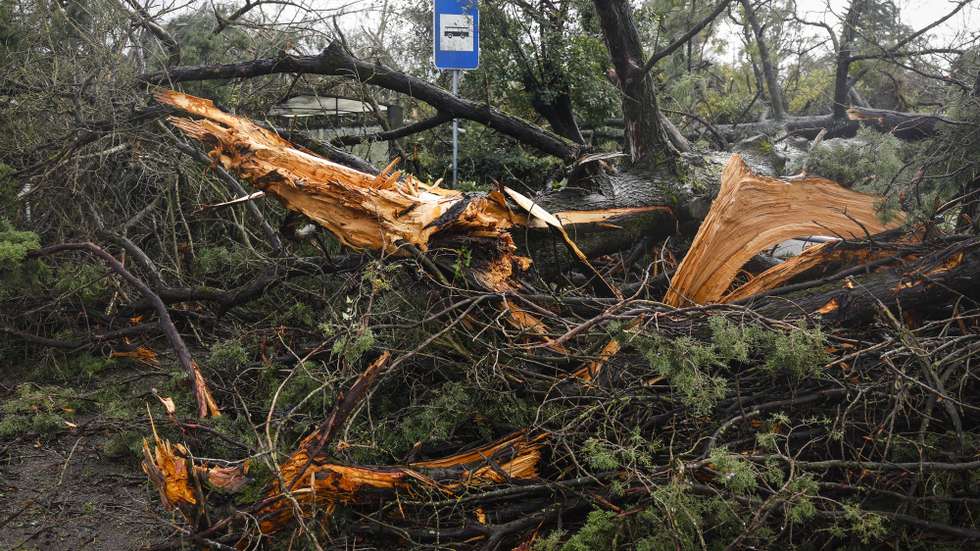 Efeitos do mau tempo na região de Leiria devido à passagem da depressão Kristin, em Leiria, 30 de janeiro de 2026. Portugal continental está a ser afetado pelos efeitos da passagem da depressão Kristin, com chuva, vento, neve e agitação marítima, tendo sido emitidos vários avisos pelo Instituto Português do Mar e da Atmosfera (IPMA). ANTÓNIO PEDRO SANTOS/LUSA