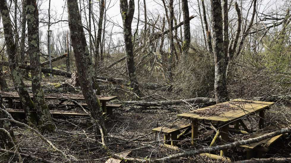Parque infantil e parque das merendas totalmente destruído em Casal dos Bernardos. O presidente da Junta de Freguesia de Casal dos Bernardos Acácio Pereira(ausente na fotografia), no concelho de Ourém, disse à Lusa que, um mês depois da tempestade, as situações mais preocupantes são os cabos elétricos cortados e a limpeza das matas. Além dos estragos nas casas e anexos rurais, há muitas árvores cortadas, sendo que no interior, longe das habitações, a "destruição nos caminhos" foi muito grande, Casal dos Bernardos, Ourém, 24 de fevereiro de 2026. (ACOMPANHA TEXTO DO DIA 26 DE FEVEREIRO DE 2026) JOÃO RELVAS/LUSA