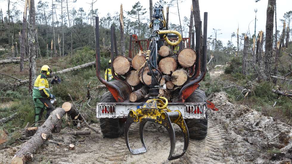 Ação de limpeza da floresta integrada na campanha “A melhor defesa é a prevenção”, um projeto conjunto entre a Fundação do Futebol – Liga Portugal e o Governo, promovida pela Liga Portugal, que incluiu uma intervenção de limpeza do terreno, com o objetivo de mitigar o risco de propagação de incêndios, na Mata Nacional de Leiria, São Pedro de Moel, Marinha Grande, 20 de março de 2026. PAULO NOVAIS/LUSA
