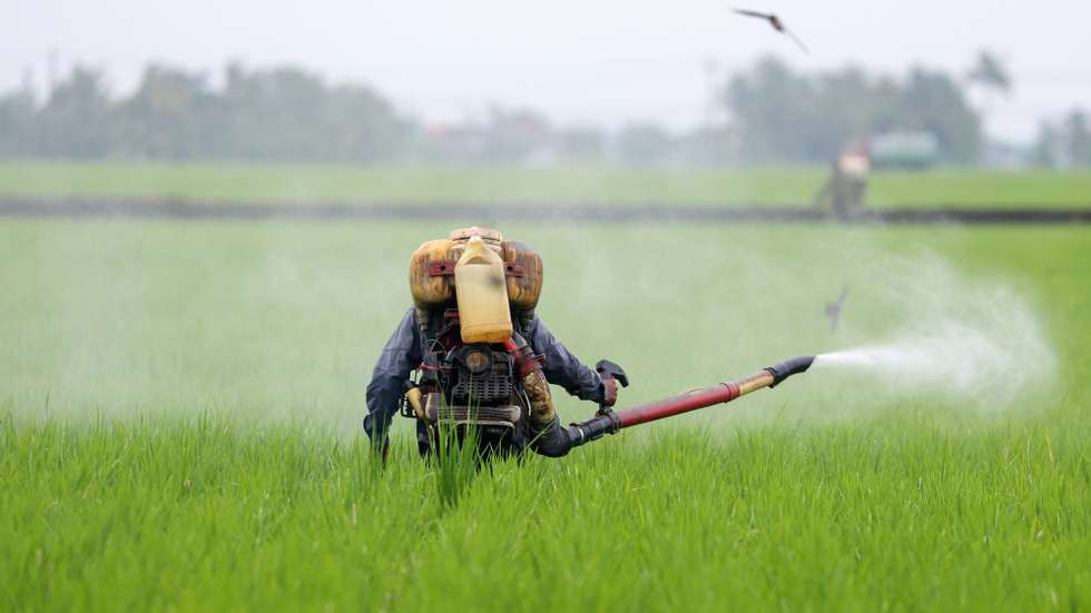 epaselect epa12864429 A farm worker sprays fertilizer on a paddy field in Sabak Bernam district, Selangor state, Malaysia, 01 April 2026. Conflict in the Middle East has driven up energy prices, raising the cost of transport, fertilizers, and food production, a ripple effect that ultimately makes groceries and goods more expensive for consumers.  EPA/FAZRY ISMAIL