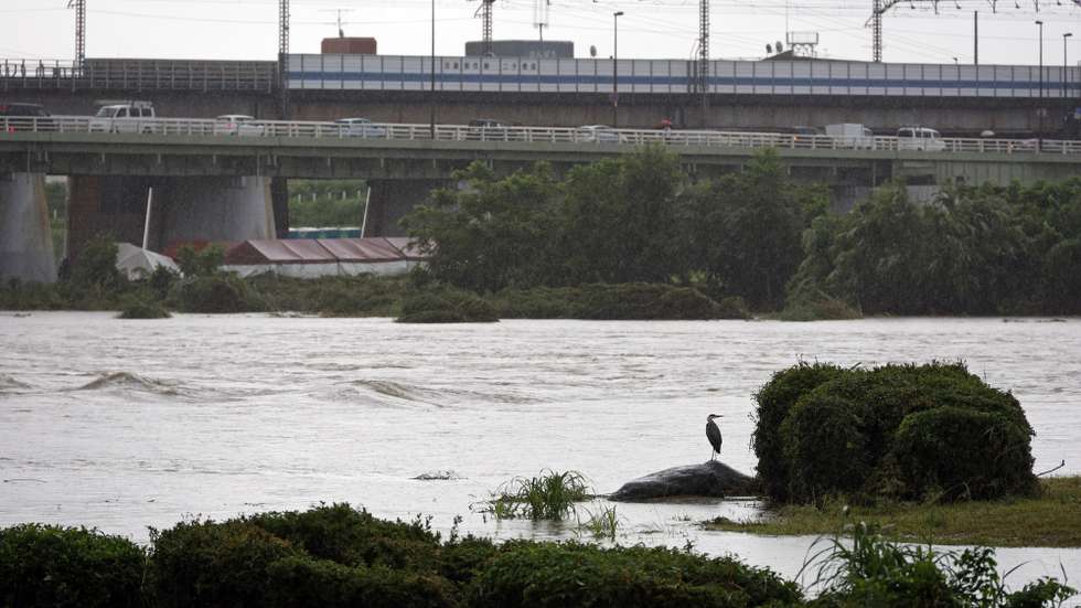 epa11572925 A heron stands next to high level water at the Tama river in Tokyo, Japan, 30 August 2024. Tama river reached the level 4 out 5 on the flood hazard scale earlier in the day. Typhoon Shanshan moved slowly and brought intermittent heavy rains not only to Kyushu and Shikoku, but also to the Kanto area, in Tokyo's region. The Japan Meteorological Agency continued to urge people to remain vigilant for landslides, flooding and rising water levels in rivers. Despite weakening, the typhoon, which is expected to reach Tokyo by 31 August, brings heavy rainfall even in the city due to the warm and moist air flowing clockwise.  EPA/FRANCK ROBICHON