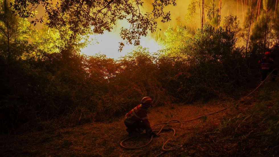epa12319173 Firefighters battle a forest fire in Pedrogao Grande, Leiria, Portugal, 23 August 2025. The two fires that are currently consuming forest in Pedrogao Grande have already reached the municipality of Serta, with various resources being deployed in both areas to combat the fire, the Civil Protection said.  EPA/PAULO NOVAIS  EPA/PAULO NOVAIS